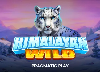 Himalayan Wild - FULLBET138