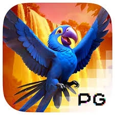 Wings of Iguazu - FULLBET138