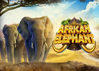 African Elephant - FULLBET138